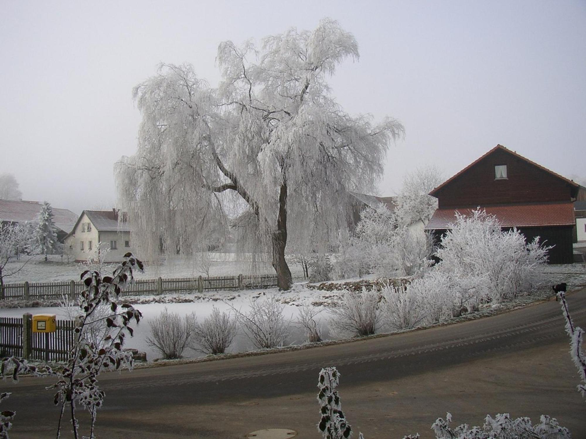 Gasthaus Zur Waldesruh Waffenbrunn ภายนอก รูปภาพ