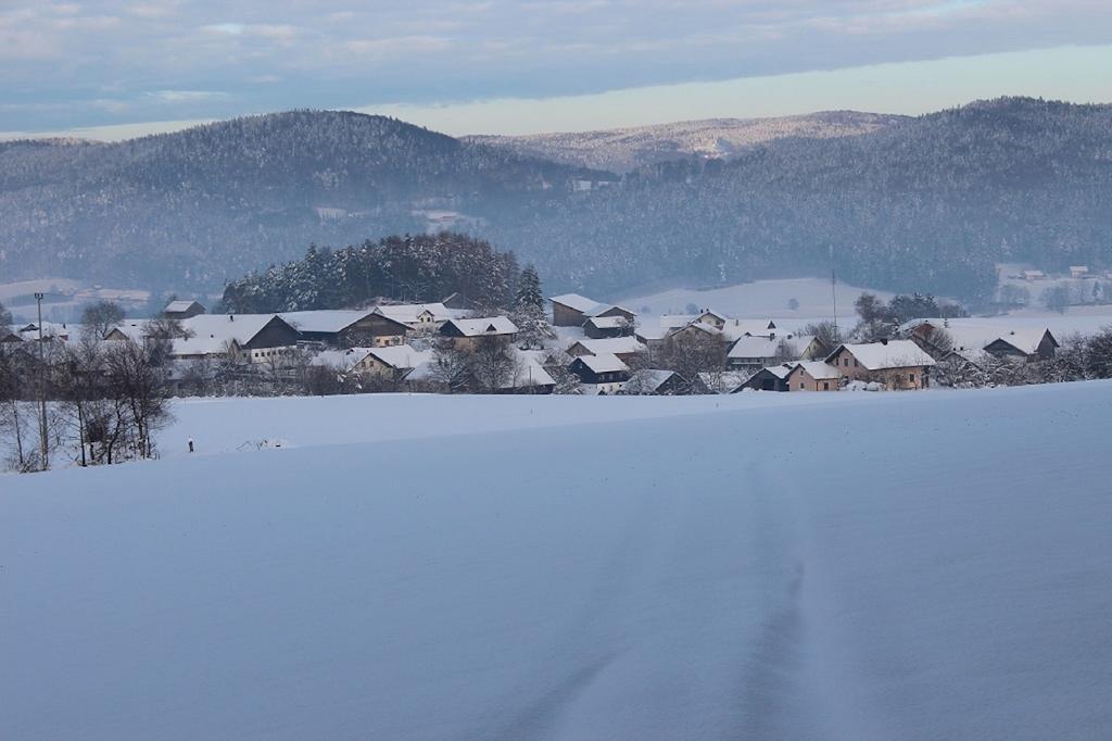 Gasthaus Zur Waldesruh Waffenbrunn ภายนอก รูปภาพ