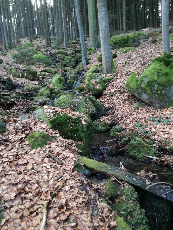 Gasthaus Zur Waldesruh Waffenbrunn ภายนอก รูปภาพ