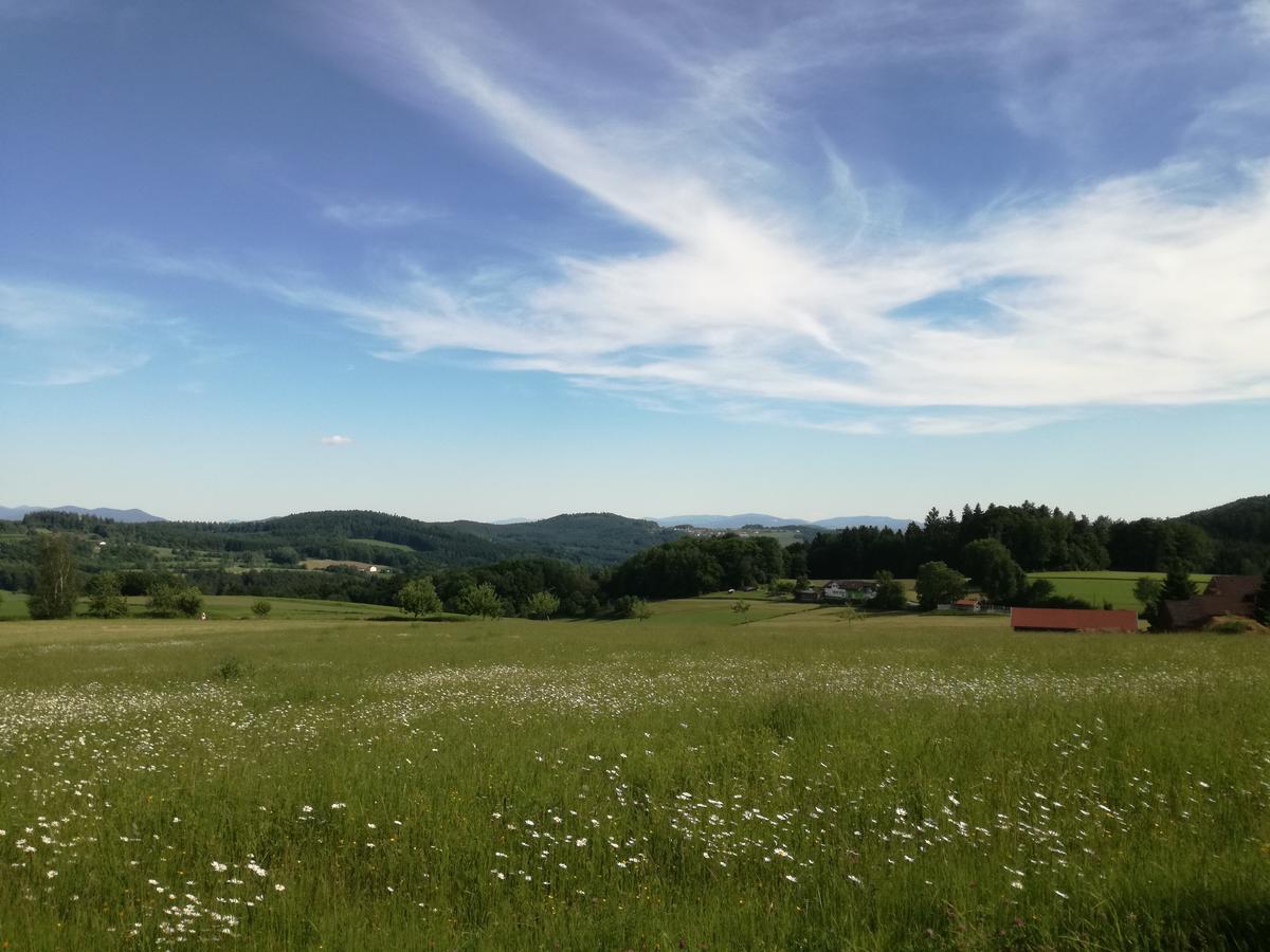 Gasthaus Zur Waldesruh Waffenbrunn ภายนอก รูปภาพ