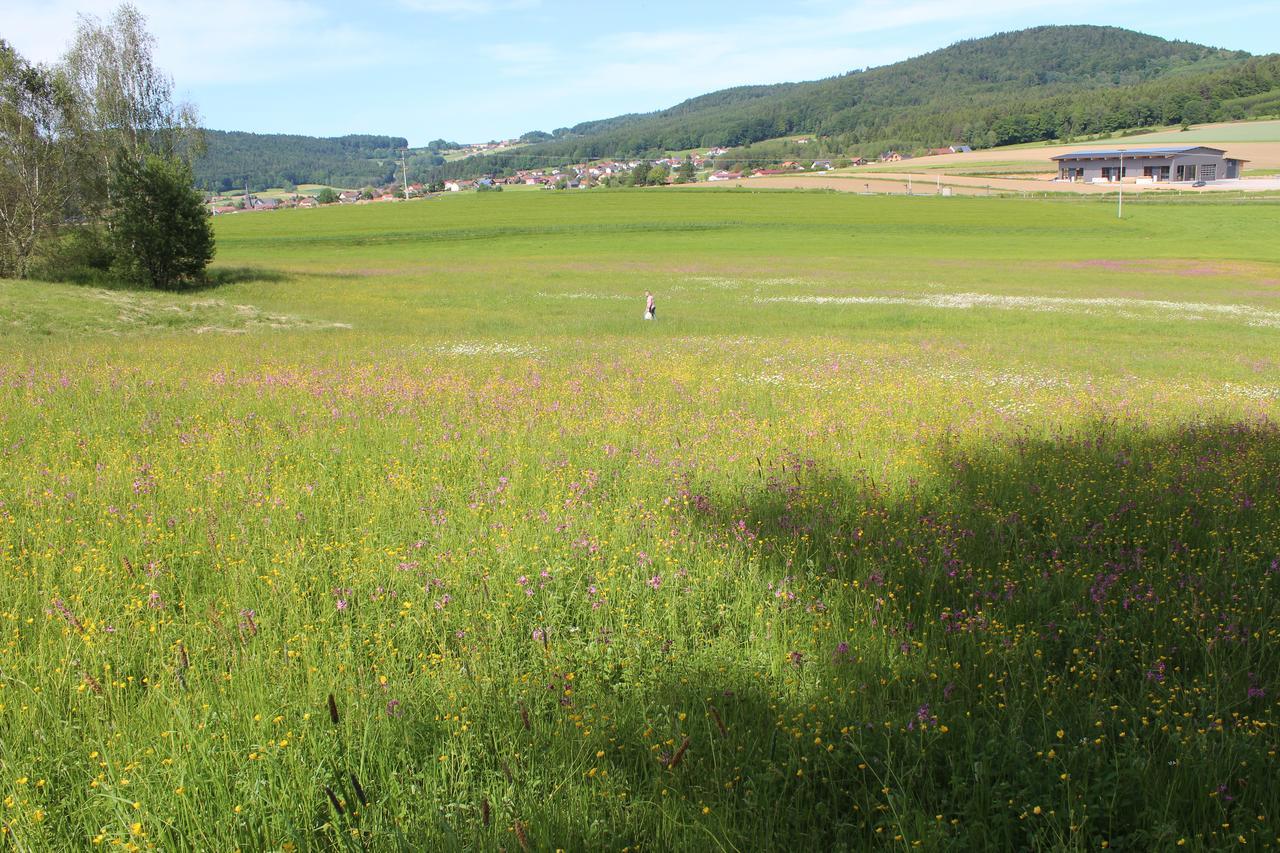 Gasthaus Zur Waldesruh Waffenbrunn ภายนอก รูปภาพ